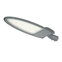 100 Watt Street Light