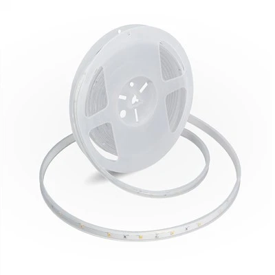 Bright dirije Limyè teren 24v